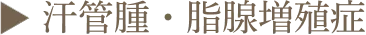 ▶︎ 汗管腫・脂腺増殖症